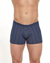 Obrázek z CTT BOX VARIOUS 233/123 M 